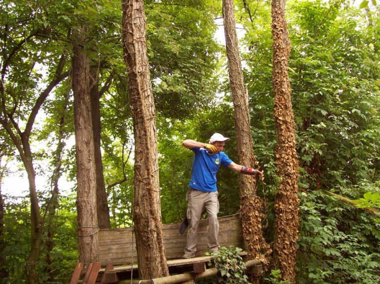 Round 3D Zelo Buon Persico (LO) 04AIRO