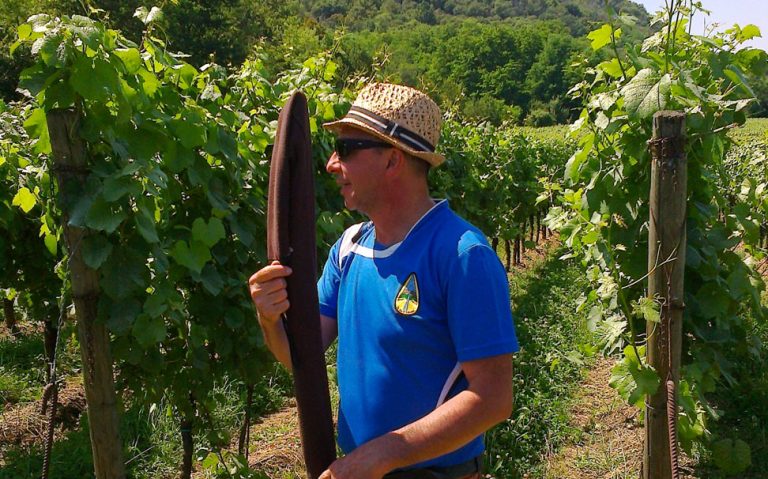 3D Montorfano 04ARCI