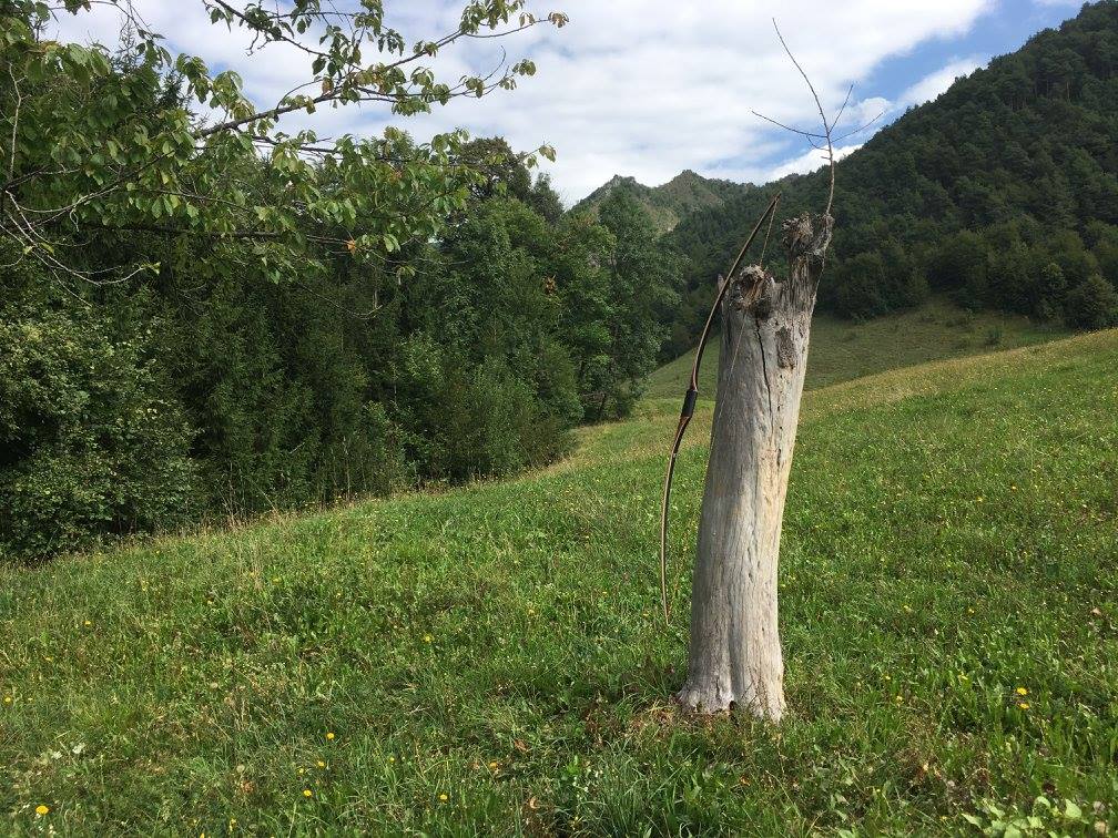 512709960_10070753506313416_8022173833834129908_n