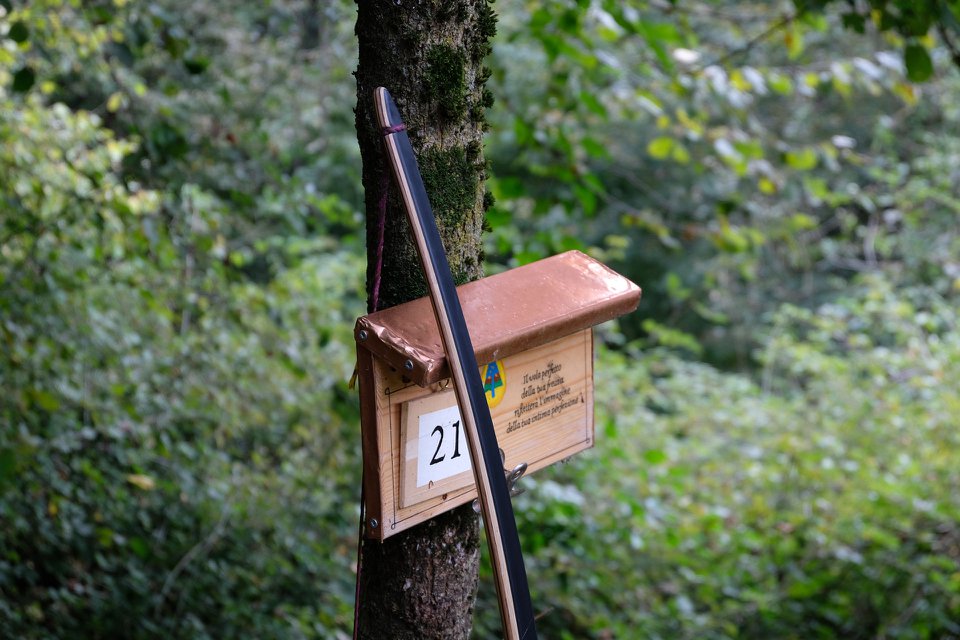 72588173_2488903401165169_7541102865352228864_n