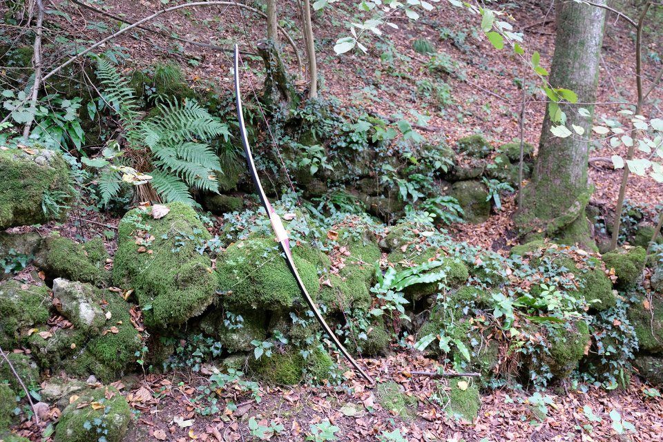 72726565_2488903417831834_7828406593719894016_n