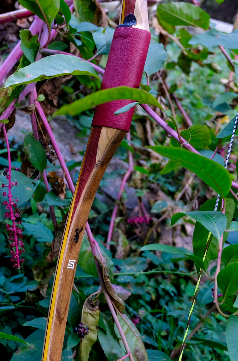DSCF5460