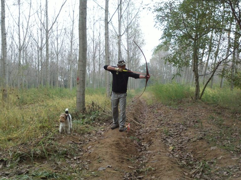 Battuta Motta Visconti 04TBOW