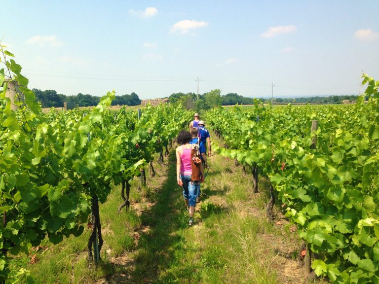 Percorso Monteraschio (PC) 08CALE