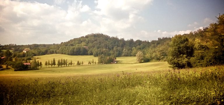 6° Cinghialata Brusaporto 2014