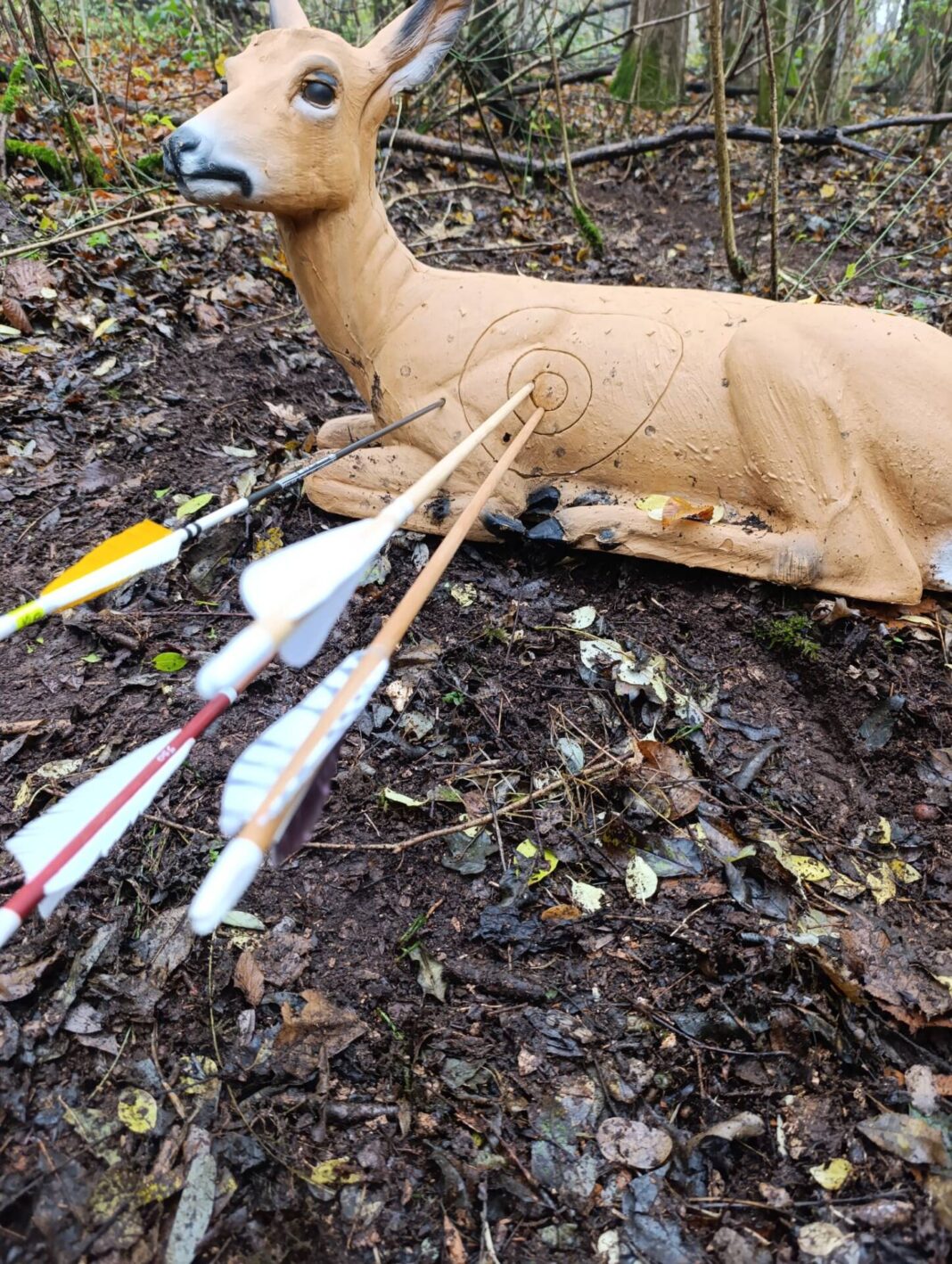 WhatsApp Image 2025-11-16 at 21.17.58