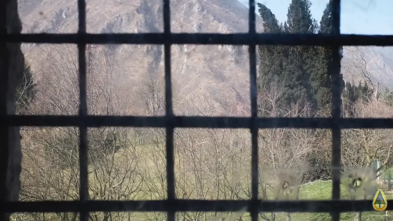 laboratorio-finestra