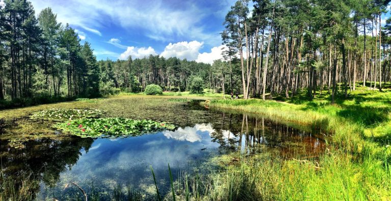 11° Torneo di Tiro con l’arco del Renon 11 Bogenturnier